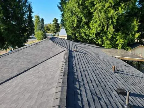 Roofing repeir installation techumbre Picture 8