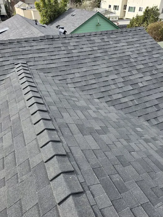 Berkeley Roof Services Picture 7