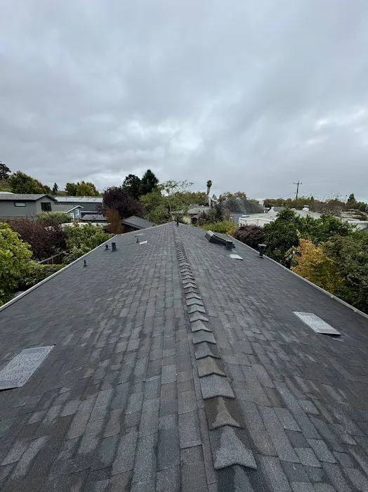 Berkeley Roof Services Picture 6