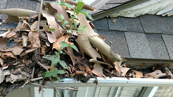 Sunshine Gutters Picture 9