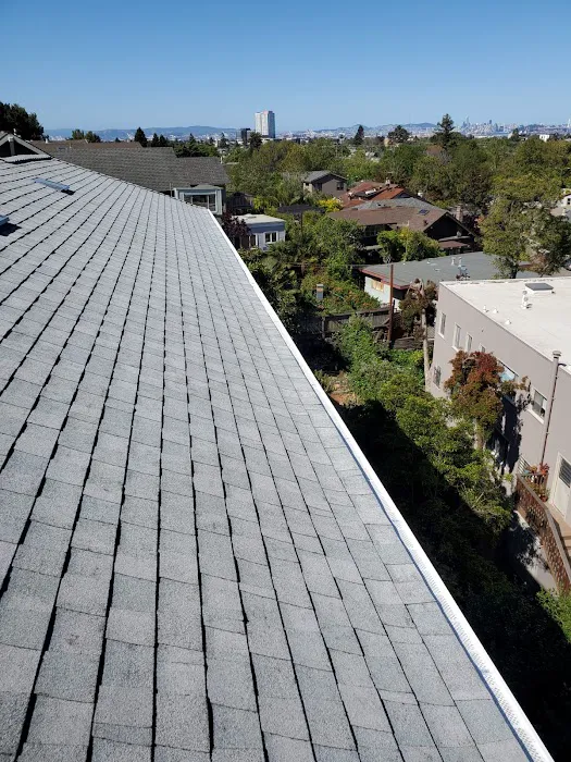 Astro Roofing, Inc Picture 5