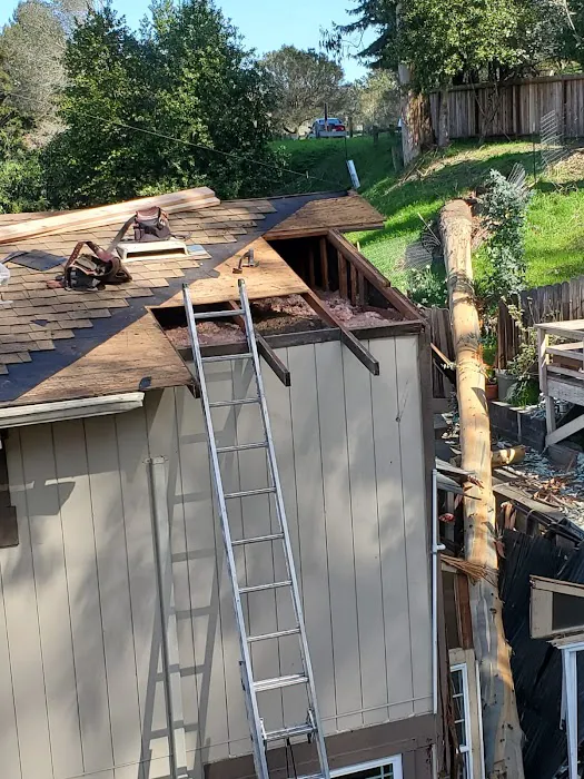 Astro Roofing, Inc Picture 7