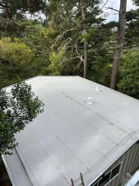 Sergio Lopez Roofing Picture 4