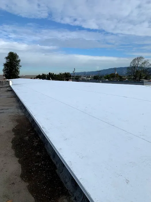 Premier Roofing and Waterproofing Inc. Picture 1