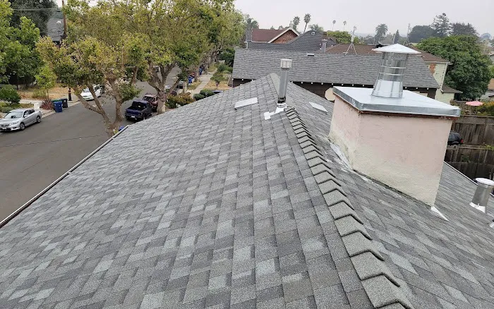 BYC Roofing & Painting Inc Picture 6