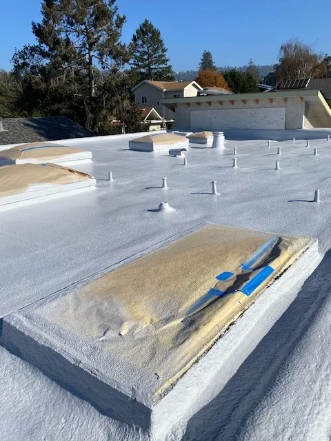Cricket Roofing Services Picture 4