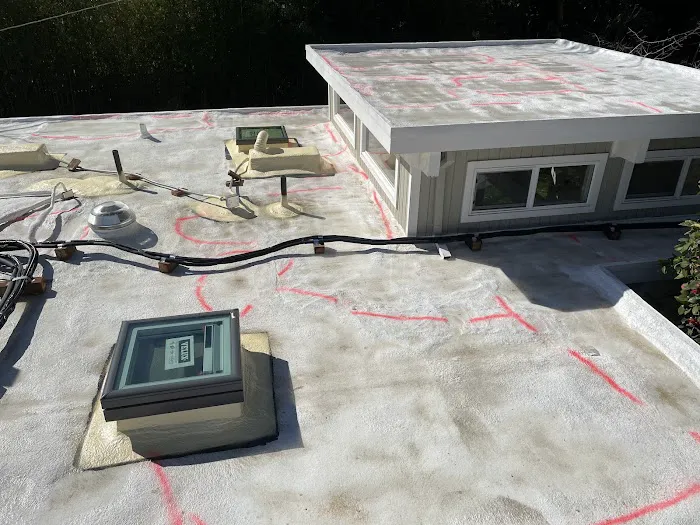 Cricket Roofing Services Picture 5