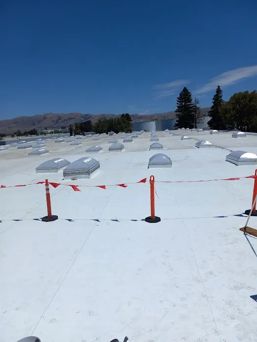 Bigham Taylor Roofing Picture 1