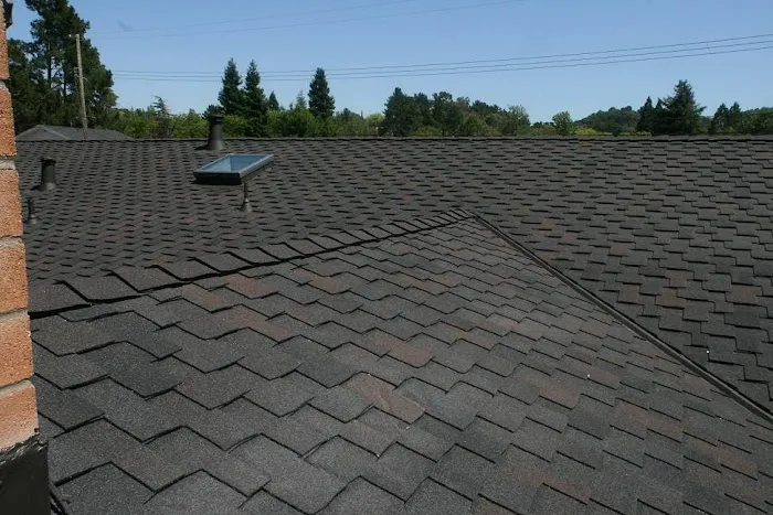 Century Roof and Solar Picture 10