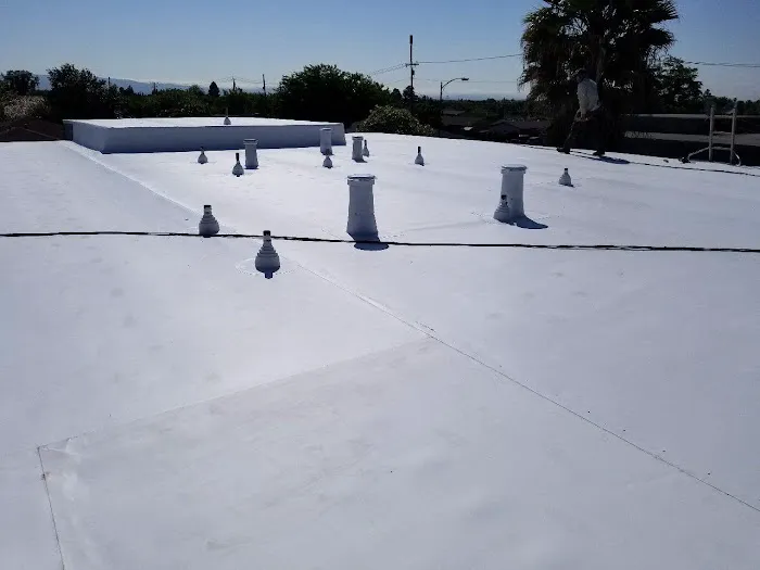 Rivera Roofing Systems Inc Picture 5