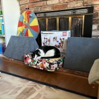 Quality Roofing Fremont CA ico