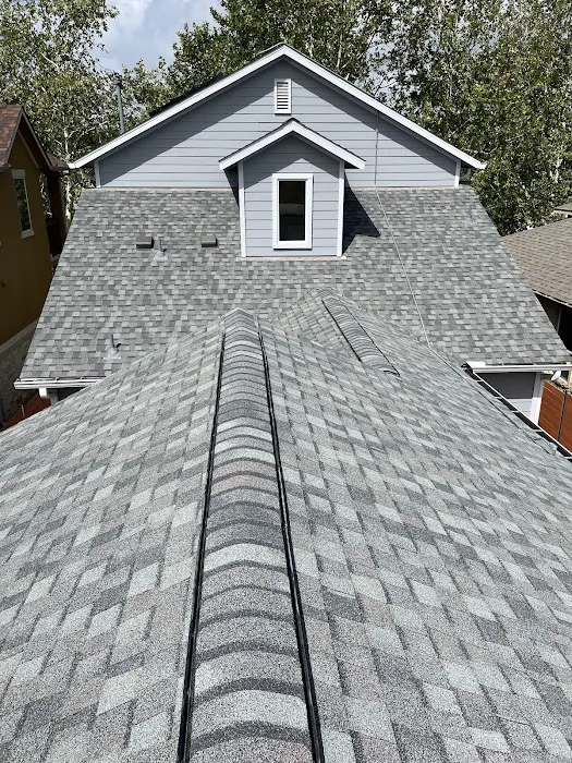 Bluebonnet Custom Roofing Picture 4