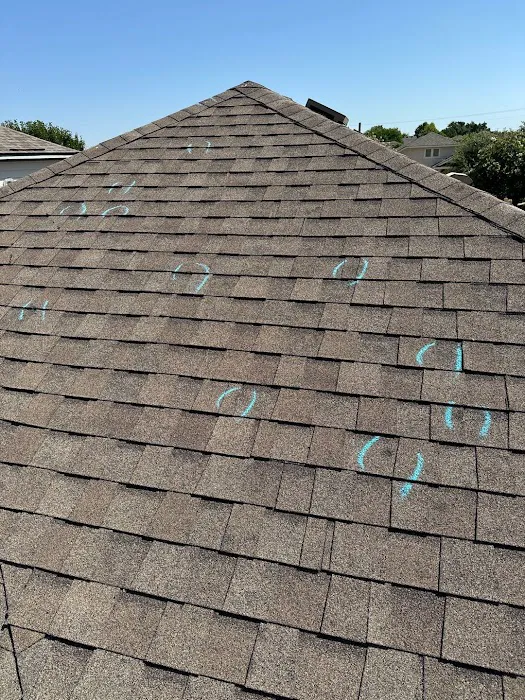 Lapeyre Roofing Picture 1