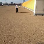 Lone Star Roofing