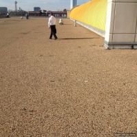 Lone Star Roofing ico