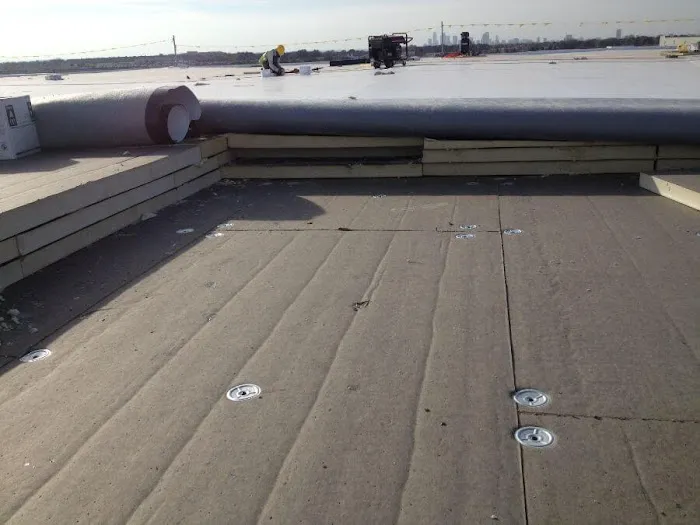 Lone Star Roofing Picture 6