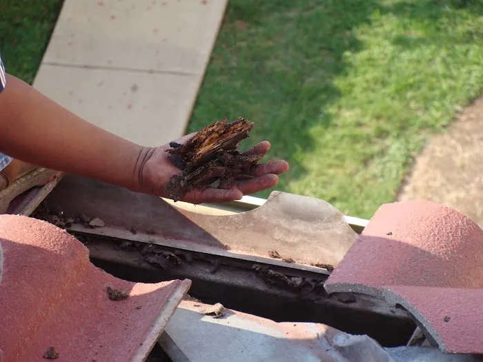 Elite Restorations, Inc. Picture 10