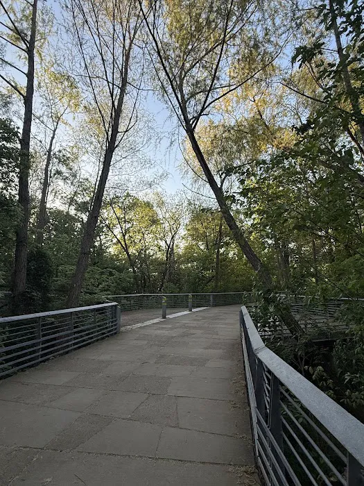 Claimwarden Roofing Picture 7