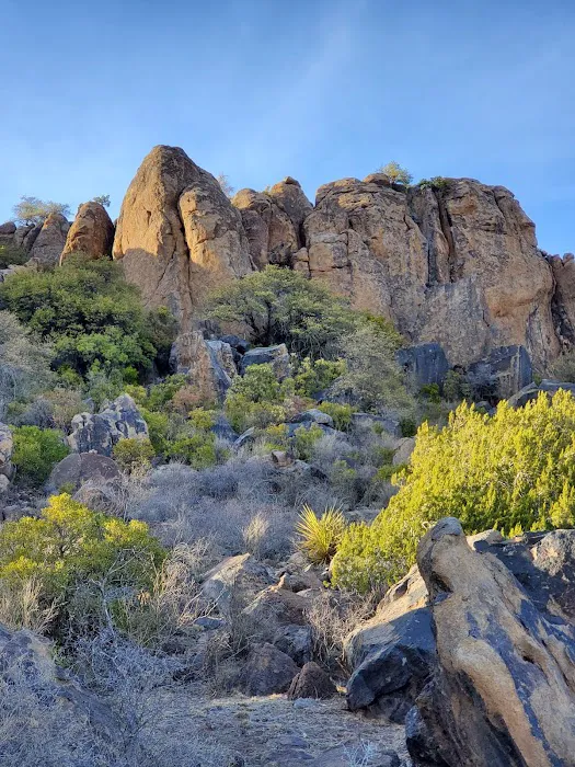 The Austin Roof Doctor Picture 10