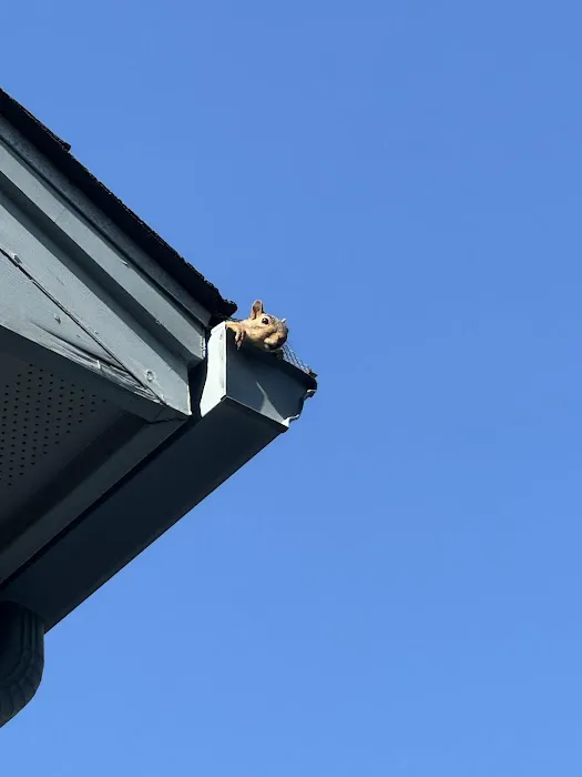 Tarrytown Roofing Picture 2