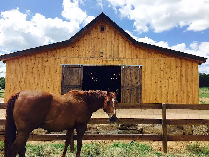 Austin Roofing and Construction Picture 1