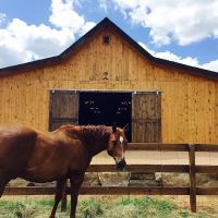 Austin Roofing and Construction ico