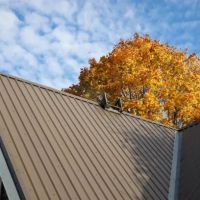 Davis & Sons Roofing & Construction ico