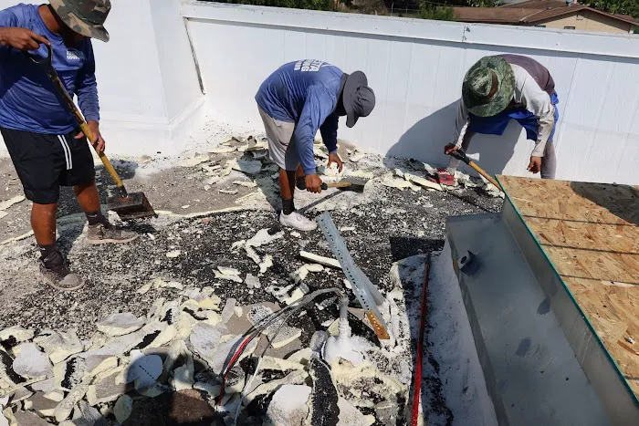 The Roofing Artist Picture 5