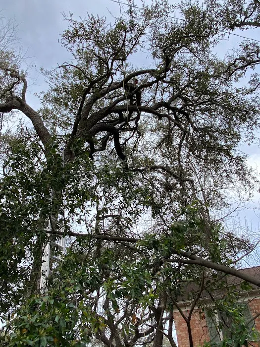 Herrera Construction and More LLC Picture 4