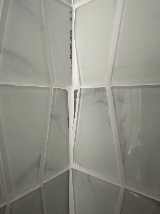 Allies Roofing and Construction LLC Picture 6