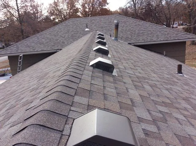 Roofing101 Picture 4