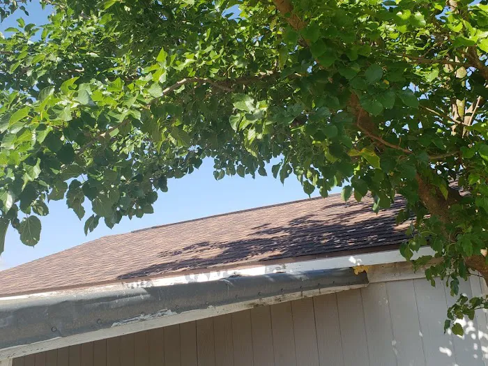 Guardian Roofing Picture 1