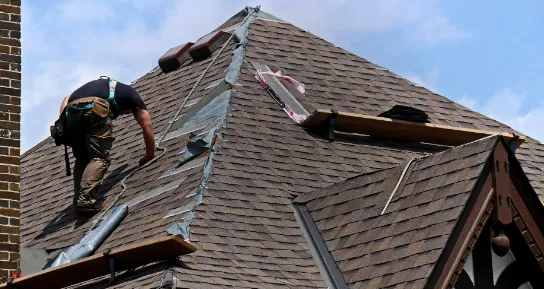 Vargas Family LLC Picture 1