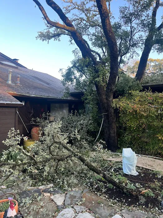 Matthew Lorand Roofing Picture 1