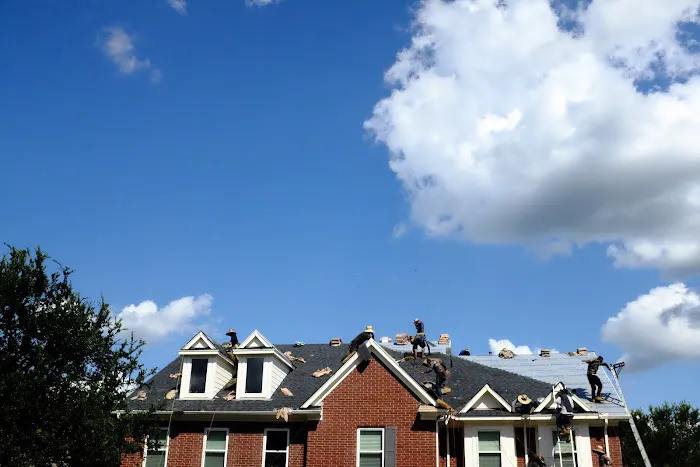 The Roofing Guy Picture 7