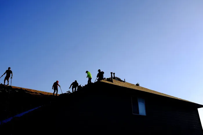 The Roofing Guy Picture 2