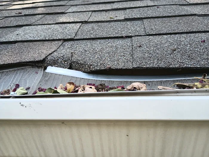 Bill Sprauer Austin Roofing Company Picture 8