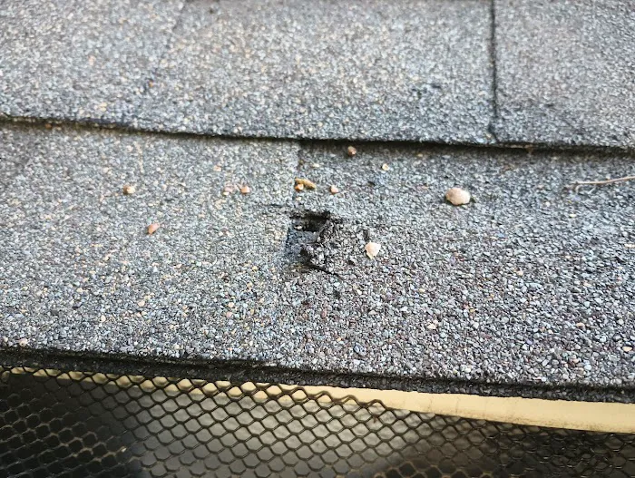 Bill Sprauer Austin Roofing Company Picture 5