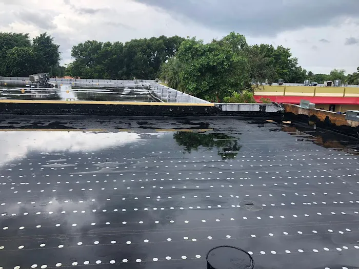 Big Texas Roofing and Solar Picture 5
