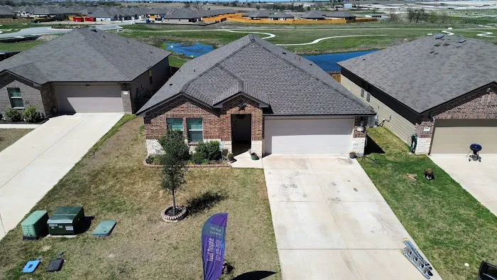 Roof Royale Picture 3