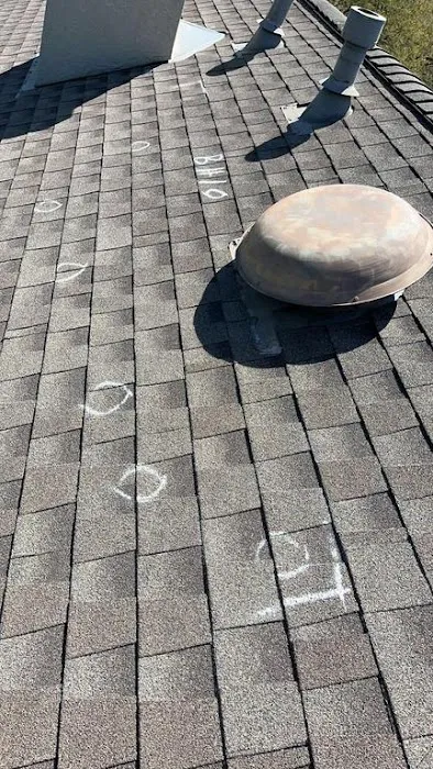 ROOF MONKEY Picture 6