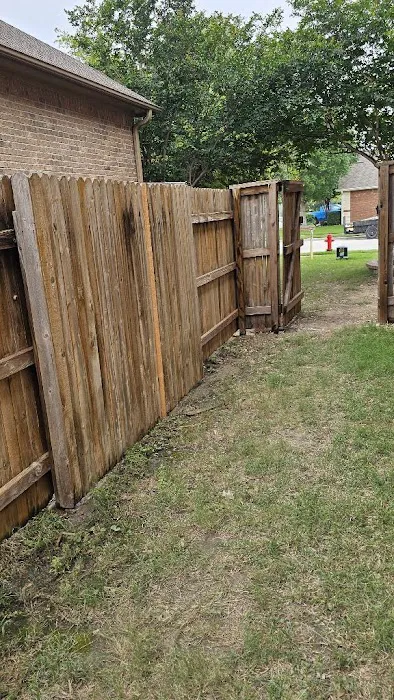 ROOF MONKEY Picture 5