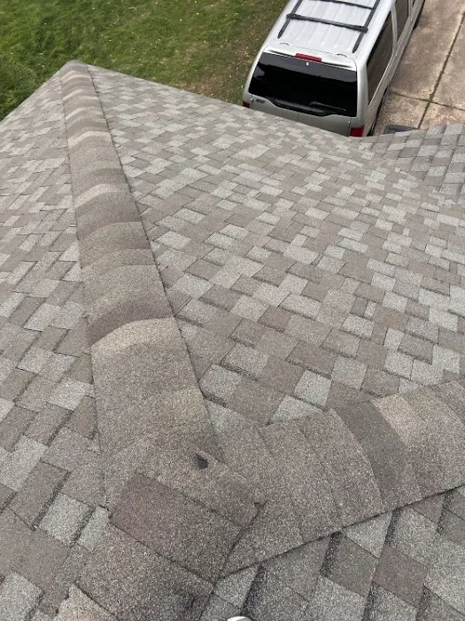 Remedy Roofing Picture 5