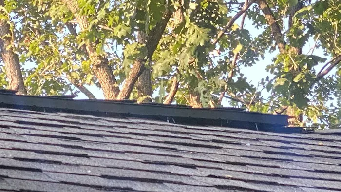 Remedy Roofing Picture 8