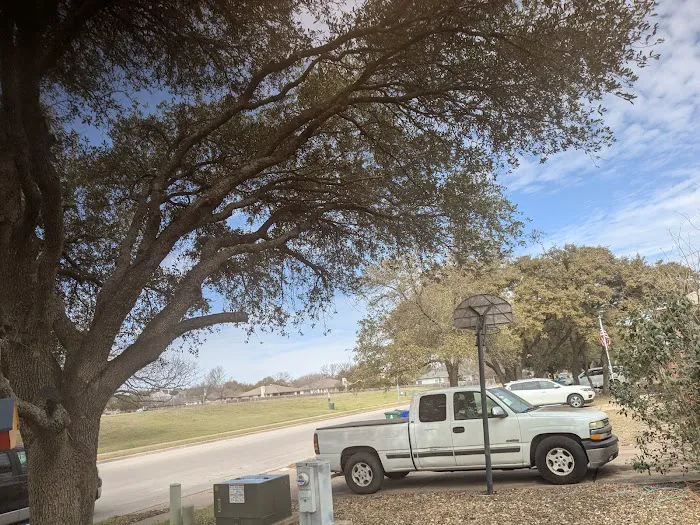 Abraham's Roofing and Tree Trimming Picture 9