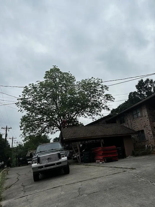 Holiday Roofing Picture 6