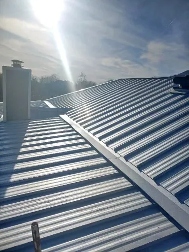 Best Roof In Town Picture 6