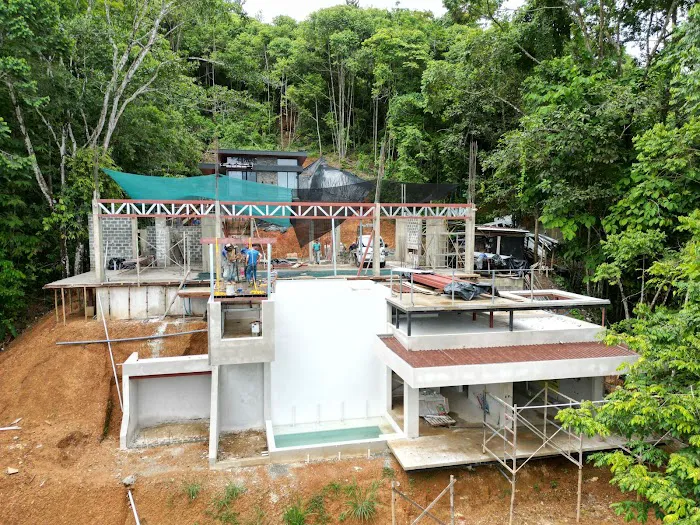 Best Roof In Town Picture 10