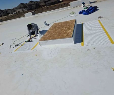 Roof Experts