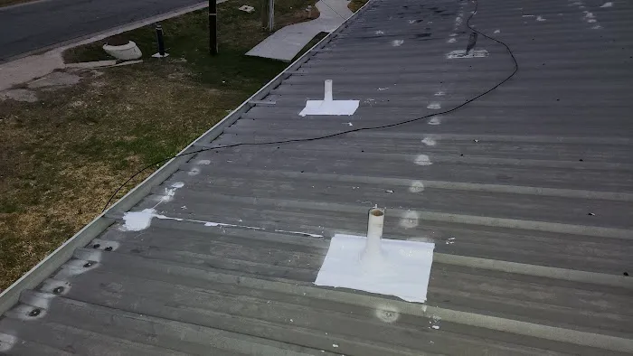 Architecture Roof Systems Picture 4